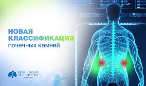 В Сеченовском Университете разработали новую классификацию почечных камней 