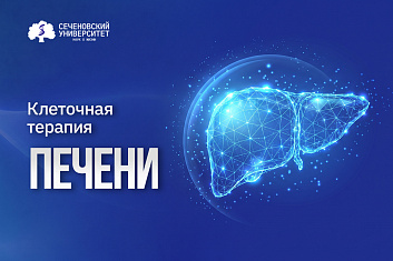 Ученые Сеченовского Университета показали долгосрочный эффект клеточной терапии фиброза печени
