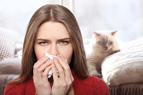 Рудольф Валента: «Вакцина от аллергии на кошек может помочь и пациентам с реакциями на собак» 