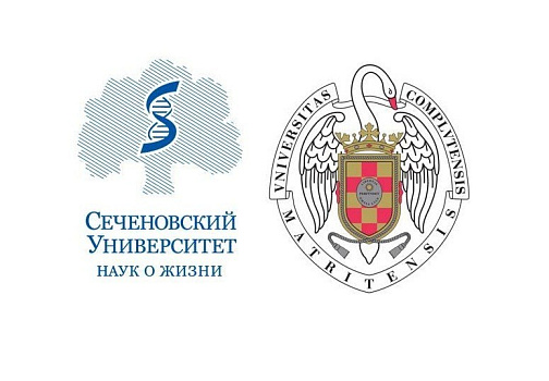 Сеченовский Университет и  Мадридский университет Комплутенсе откроют совместные магистерские программы 