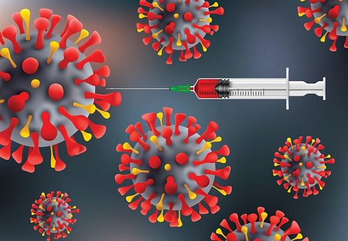  Вакцина против коронавируса, тестировавшаяся в Сеченовском университете, находится на стадии госрегистрации 