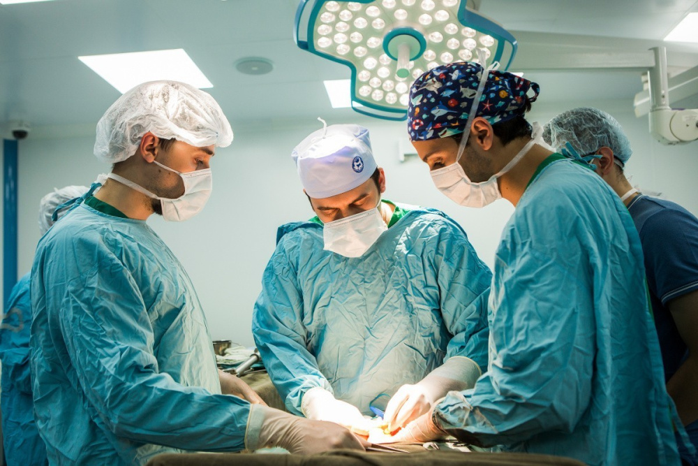 В 2020 году Сеченовский Университет увеличит количество зарубежных стажировок для своих сотрудников