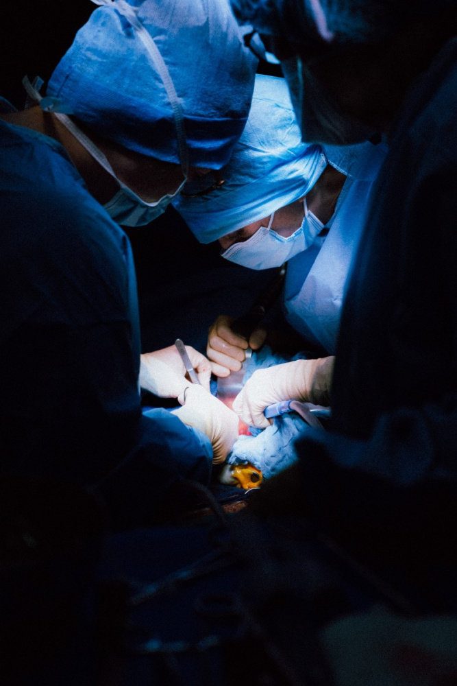  В Сеченовском Университете успешно проведена уникальная хирургическая операция 