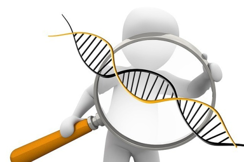 Новый курс: Молекулярная генетика в онкологии
