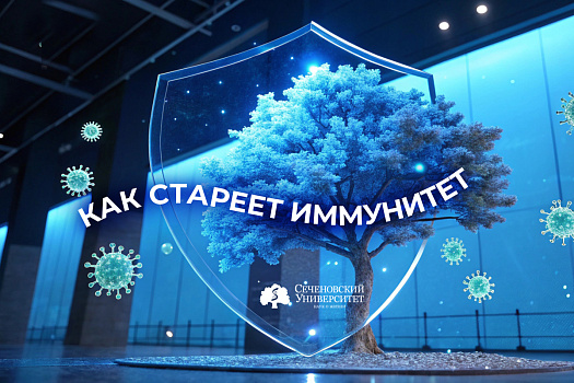  Ученые Сеченовского Университета определили, как стареет иммунитет у здоровых людей 
