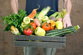 Диетолог назвала лучшие овощи для похудения Их стоит включить в рацион
