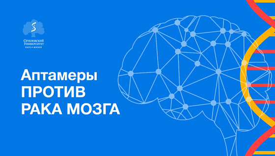 Российские ученые разрабатывают ДНК-молекулы, которые смогут распознать и уничтожить глиому 