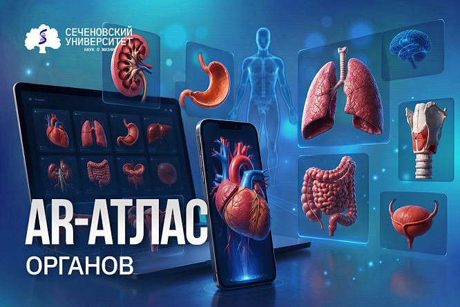 В Сеченовском Университете создают AR-атлас органов человека для подготовки студентов-медиков
