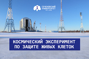 Сеченовский Университет принял участие в космическом эксперименте по защите живых клеток