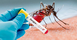  Лихорадка денге не спасает от коронавируса 