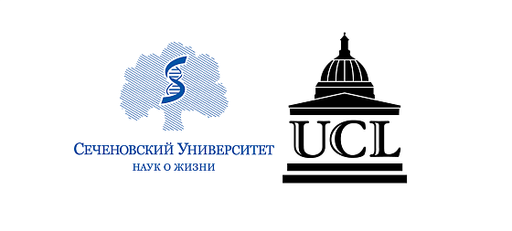  Cеченовский университет и Университетский колледж Лондона – приступают к совместной подготовке врачей будущего 