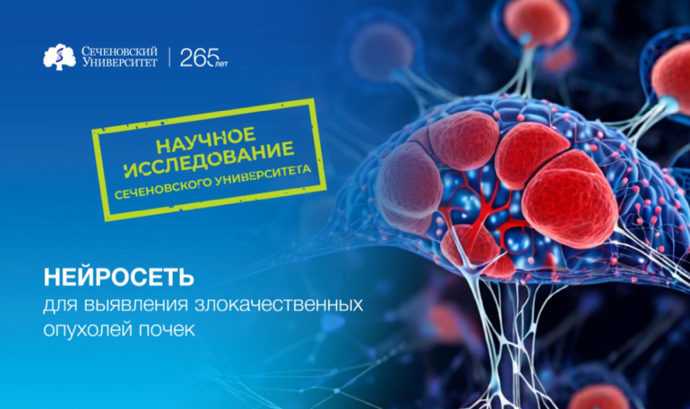 Ученые Сеченовского Университета создают нейросеть для выявления злокачественных опухолей почек