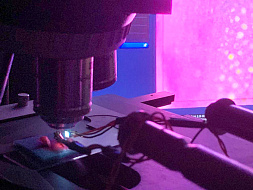  Ученые Сеченовского Университета работают над методикой мгновенной микроскопии, которая спасет пациентов от повторных операций 