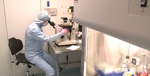 Ученые  Сеченовского университета  ведут разработку биомедицинских клеточных продуктов