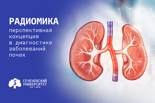 Исследователи Сеченовского Университета разрабатывают новый неинвазивный метод диагностики хронической болезни почек 