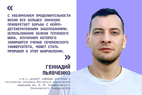 Мозг под защитой: как белки теплового шока могут уберечь от болезни Альцгеймера, БАС и инсульта