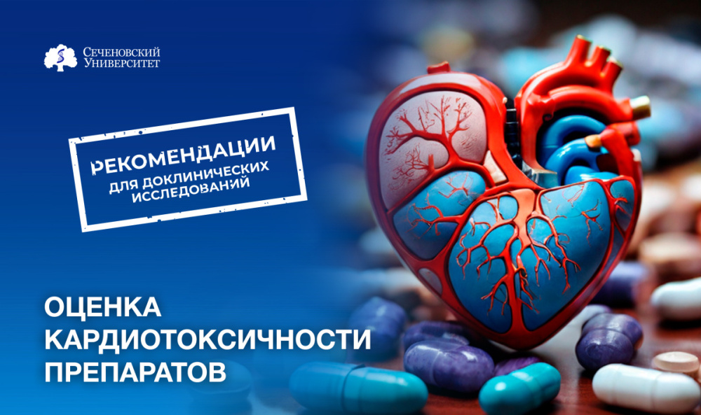 Ученые Сеченовского Университета предложили рекомендации по оценке кардиотоксичности препаратов в доклинических исследованиях