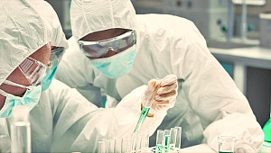 В Сеченовском Университете раскрыли секрет появления новых коронавирусов