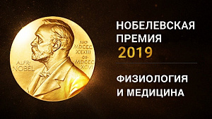 The Nobel Prize: комментарии экспертов Сеченовского Университета