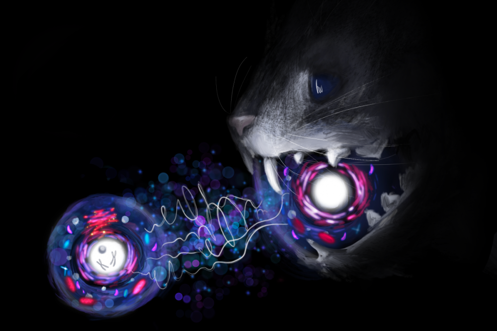 Квантовый кот. Работа студентки Сеченовского Университета на сайте Лондонского Королевского общества