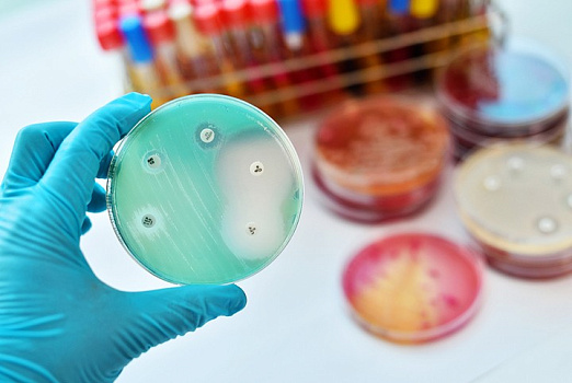 Антибиотики: дружить по рекомендации. Устойчивость бактерий к противобактериальным препаратам грозит новыми эпидемиями
