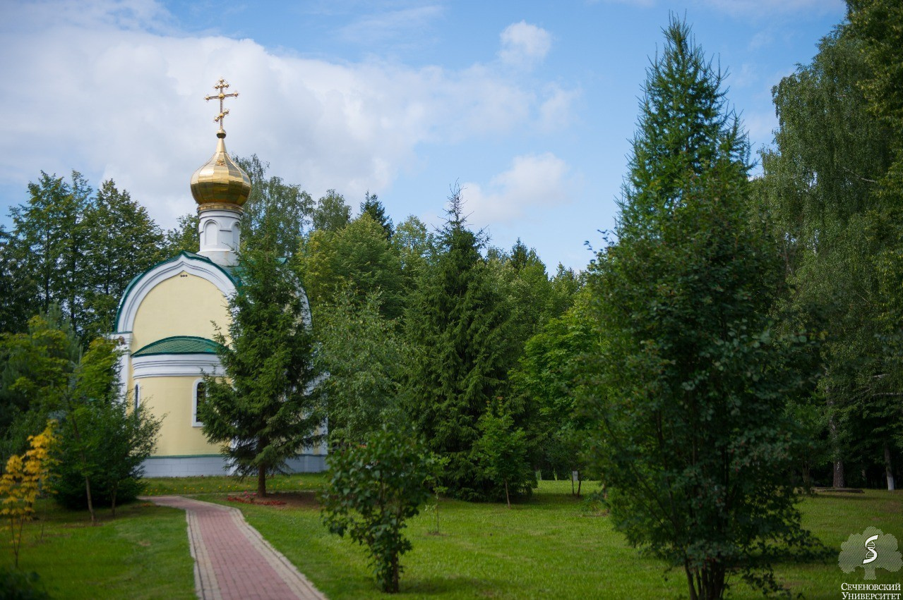 Медицинский центр святого луки смоленск. Истра Хмолино санаторий. Реабилитационный центр Истра Сеченова Хмолино. Храм святителя Луки Лаголово. Санаторий в Хмолино Истринского района.