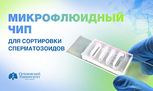 В Сеченовском Университете разрабатывают прототип микрофлюидного чипа для сортировки сперматозоидов
