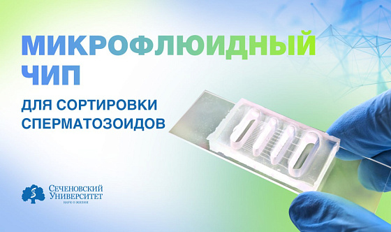 В Сеченовском Университете разрабатывают прототип микрофлюидного чипа для сортировки сперматозоидов