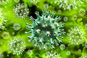 Главный эпидемиолог: коронавирусная инфекция — далеко не самая опасная