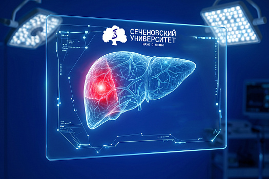 Ученые Сеченовского Университета создадут клеточную 3D-модель опухоли печени для поиска уязвимостей рака