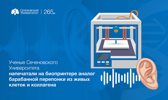 Ученые Сеченовского Университета напечатали на биопринтере аналог барабанной перепонки из живых клеток и коллагена