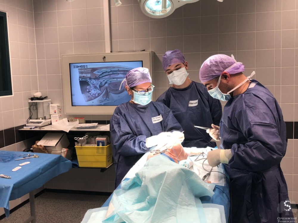 Sechenov University pediatric surgeons took part in the 11th European Pediatric Colorectal Congress-2018