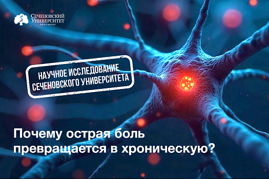  Ученые Сеченовского Университета выяснили, у кого острая боль чаще перерастает в хроническую 