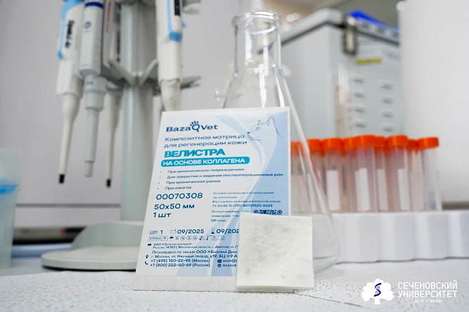 Сеченовский Университет вывел на рынок первую в мире композитную «искусственную кожу» для лечения ран у животных
