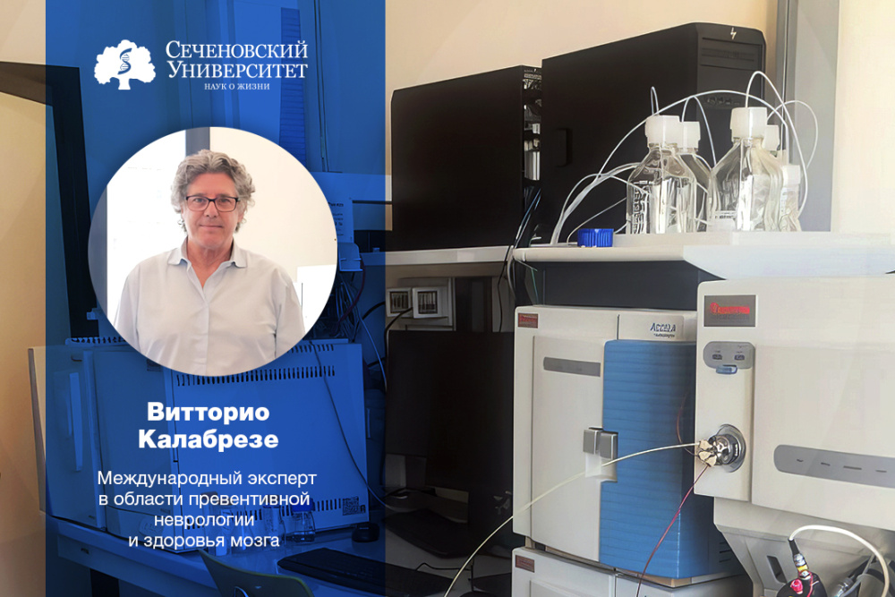  Ученые Сеченовского и Катанийского университетов изучат влияние полифенолов на мигрень и депрессию с помощью выращенных мини-мозгов 