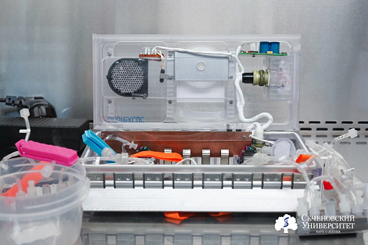 На Земле и на орбите: как ученые Сеченовского Университета ищут способ защитить суставы космонавтов