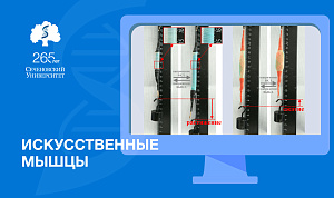 Специалисты Сеченовского Университета создали «искусственные мышцы», активируемые переменным током