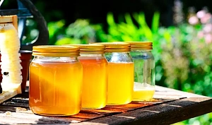 Ученый Алексей Буеверов заявил, что мед лучше всего употреблять в первой половине дня