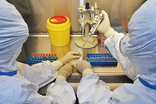 Вирусолог Лукашев предупредил, что лекарств от вируса оспы обезьян не существует