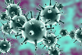 Академик РАН предложил новую методику лечения коронавируса - без ИВЛ