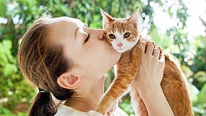 Кошки больше не проблема. Ученые Сеченовского университета создают вакцину от аллергии
