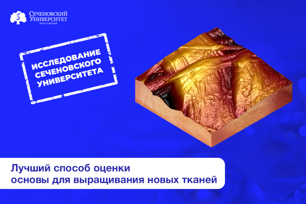 В Сеченовском Университете подобрали лучший способ оценки «каркасов» для выращивания биоэквивалентов 