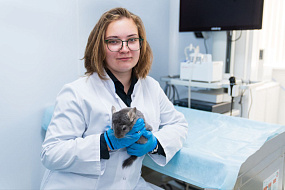 В Сеченовском Университете внедряют в ветеринарию уникальные технологии, которые разрабатывались для лечения людей